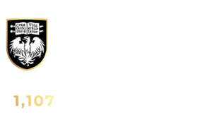 UofChicago 300x169 - College Admissions Advising